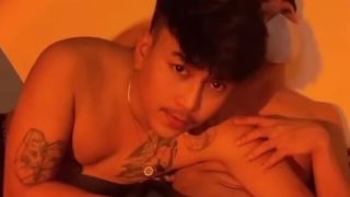 Pogs: a fun and flirty asian-pinoy adventure pogs asianpinoy